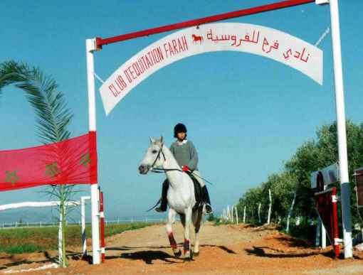 Club-d-equitation-farah-Meknes-el-menzeh